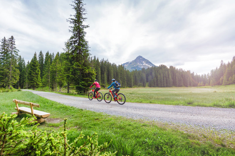 E-bike  tour bij Wildried in de Montafon